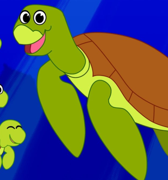 diarrhea of a cgi turtle cartoons