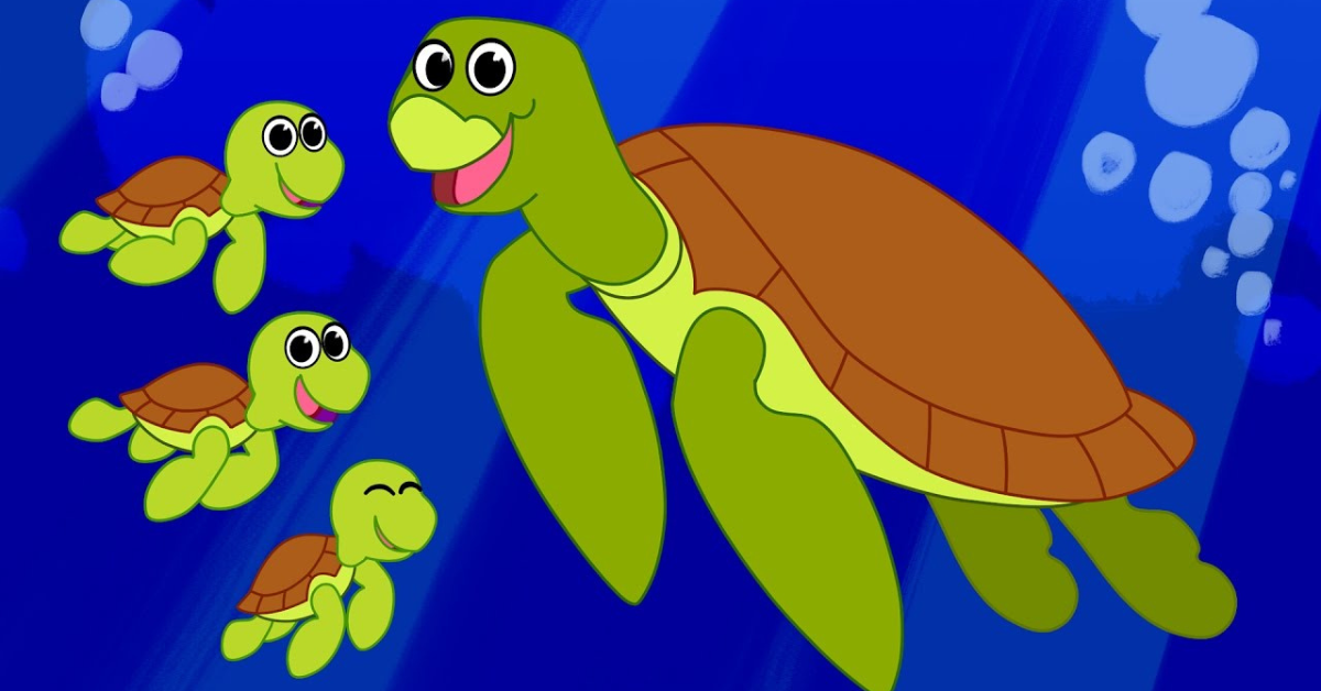 diarrhea of a cgi turtle cartoons